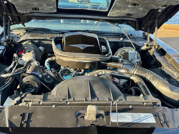 1978 Pontiac Firebird Trans Am 4-Speed